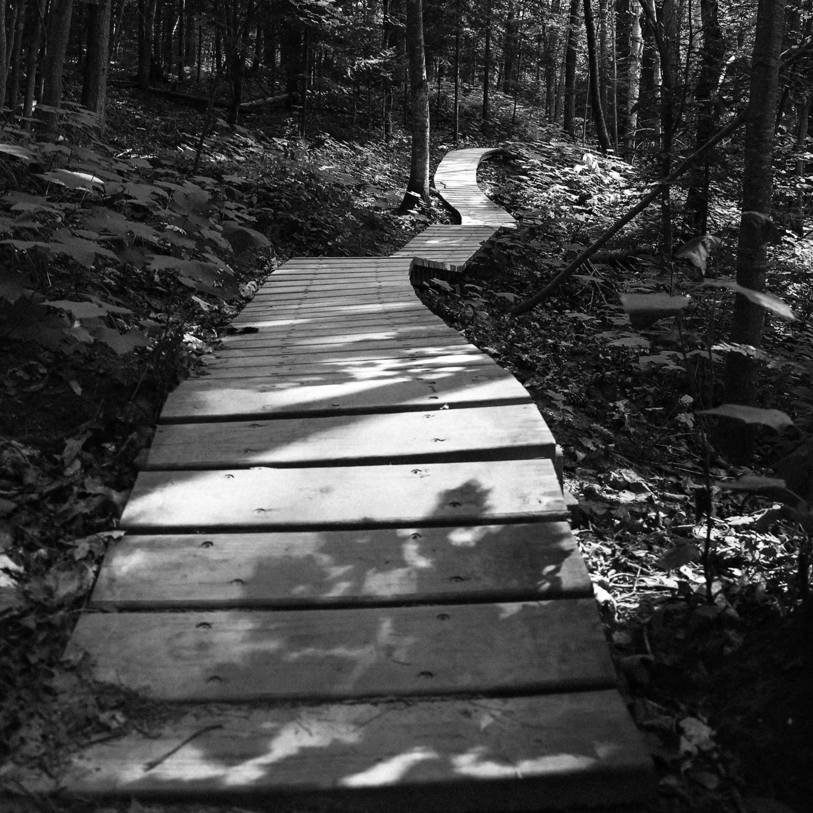 Ein schöner Wanderweg